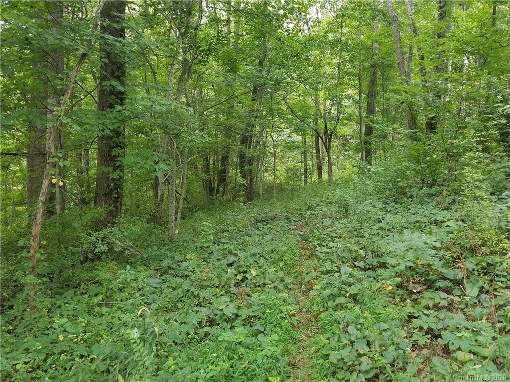 99999 Thompson Cove Road Clyde, NC 28721 - Photo 15 of 19