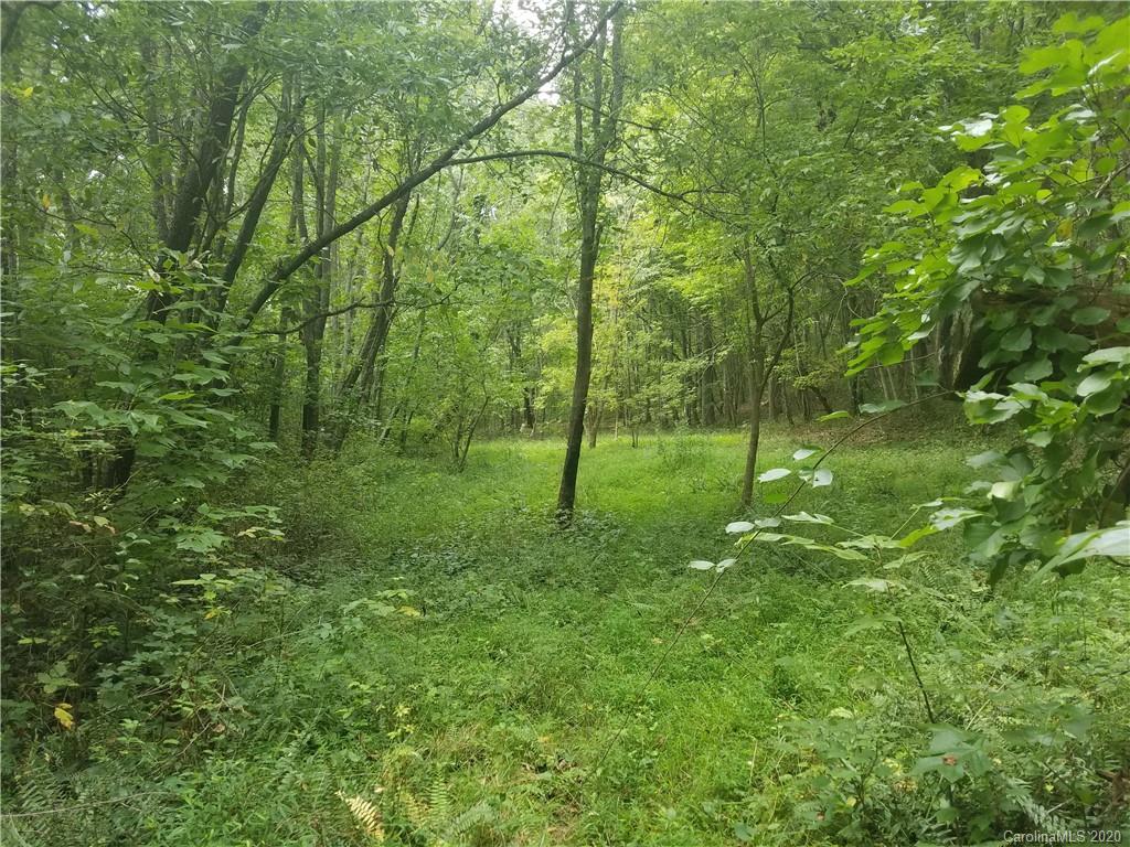 99999 Thompson Cove Road Clyde, NC 28721 - Photo 16 of 19
