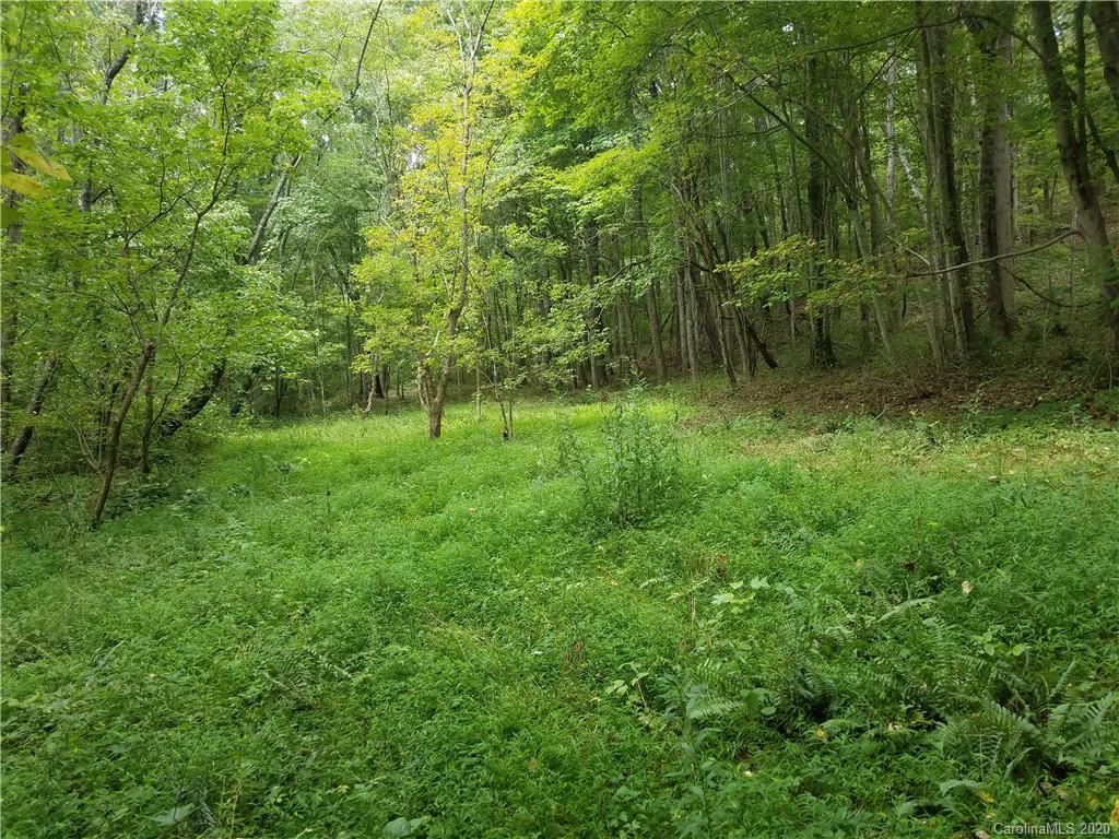 99999 Thompson Cove Road Clyde, NC 28721 - Photo 3 of 19