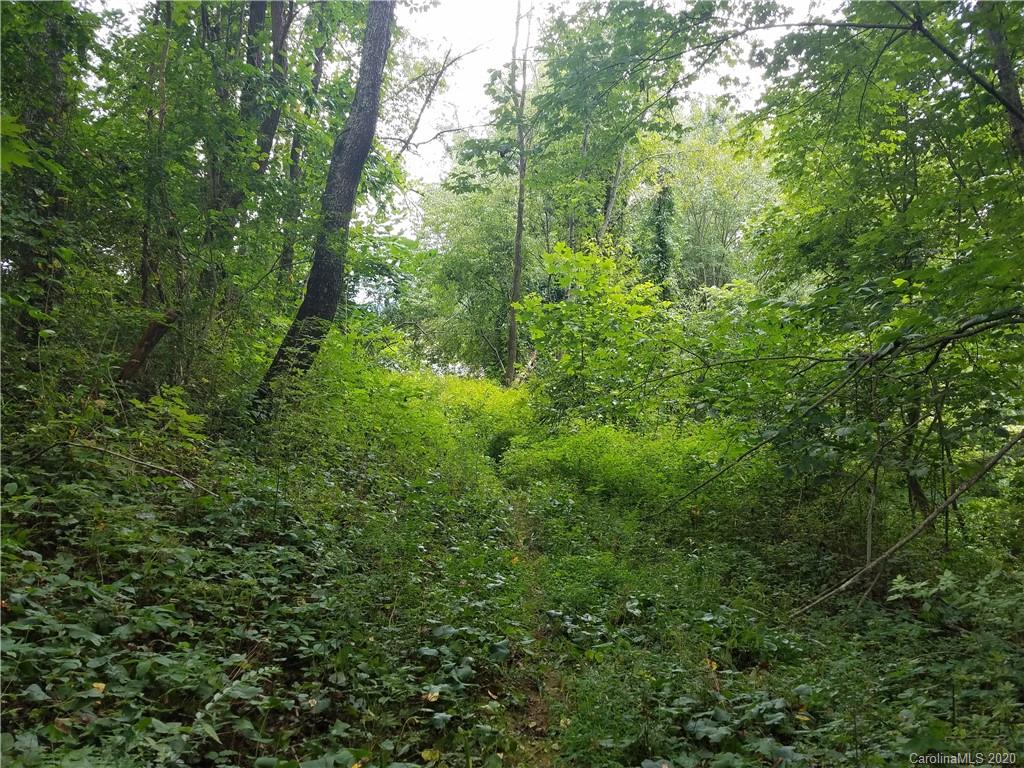 99999 Thompson Cove Road Clyde, NC 28721 - Photo 4 of 19