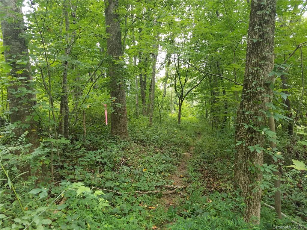 99999 Thompson Cove Road Clyde, NC 28721 - Photo 5 of 19