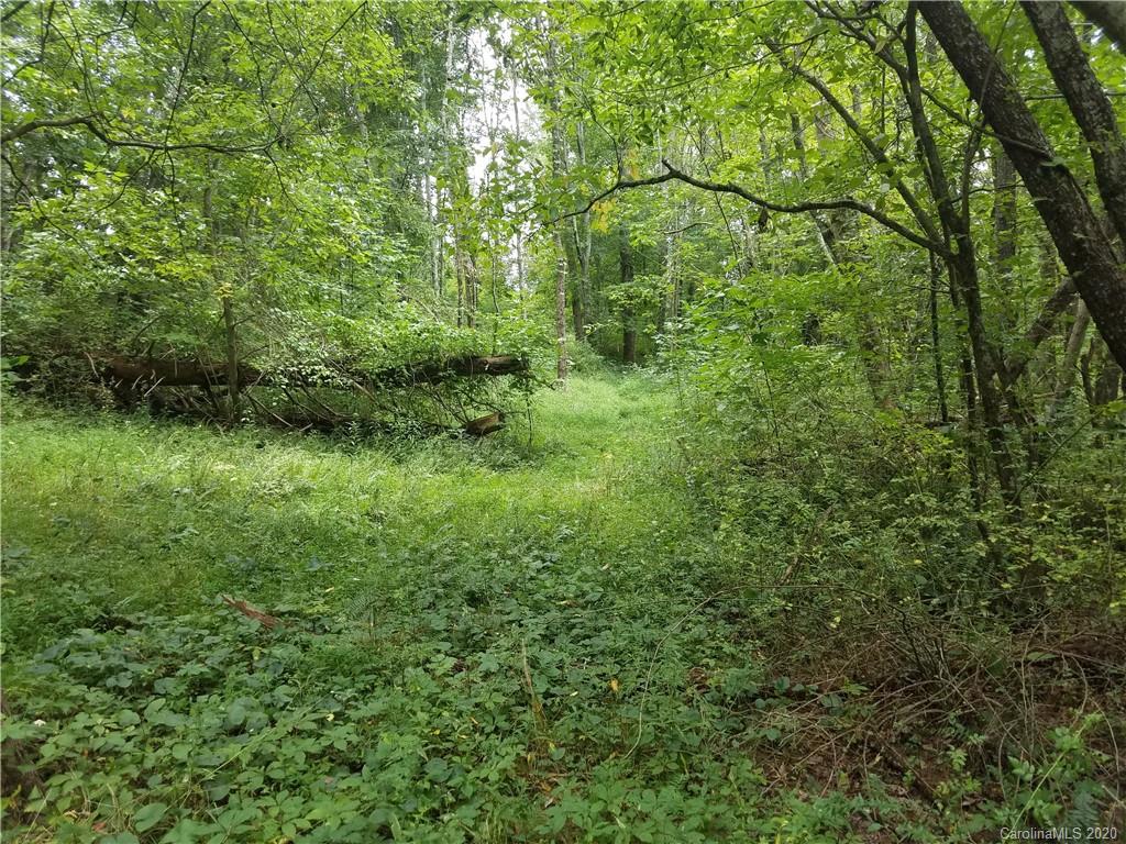 99999 Thompson Cove Road Clyde, NC 28721 - Photo 6 of 19