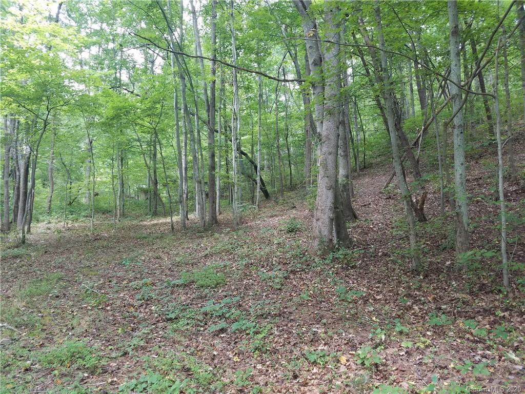 99999 Thompson Cove Road Clyde, NC 28721 - Photo 7 of 19