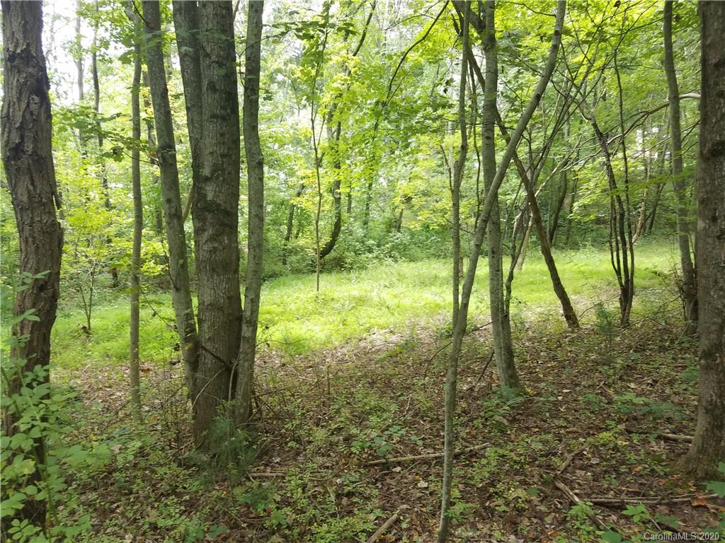 99999 Thompson Cove Road Clyde, NC 28721 - Photo 8 of 19