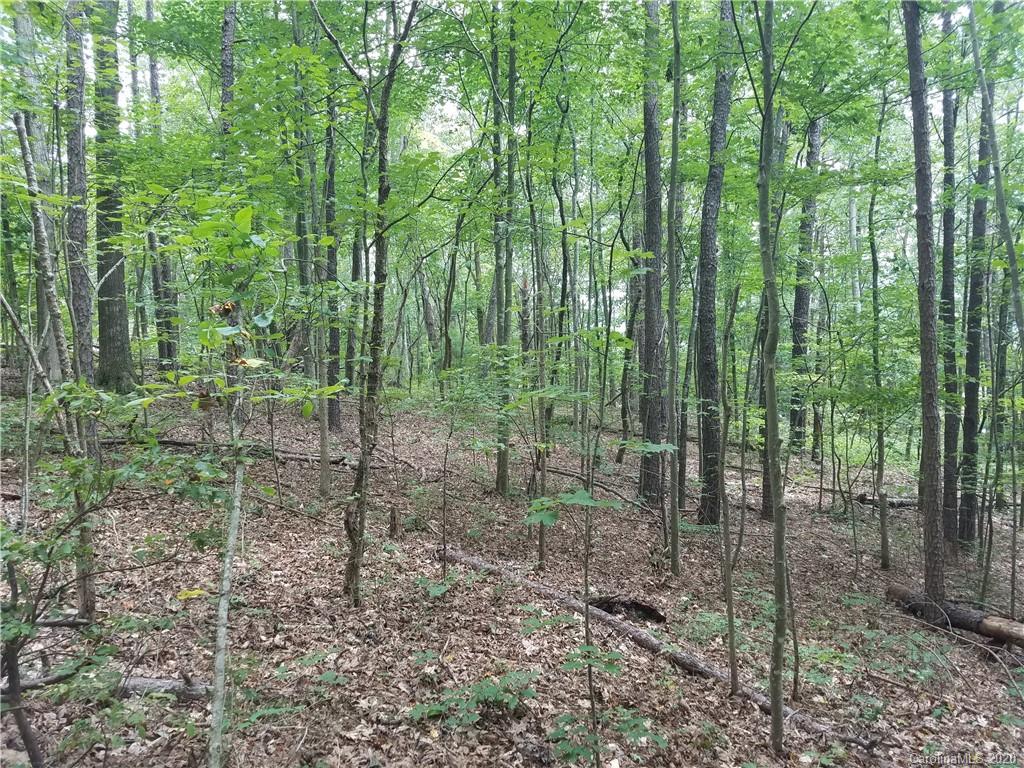 99999 Thompson Cove Road Clyde, NC 28721 - Photo 9 of 19