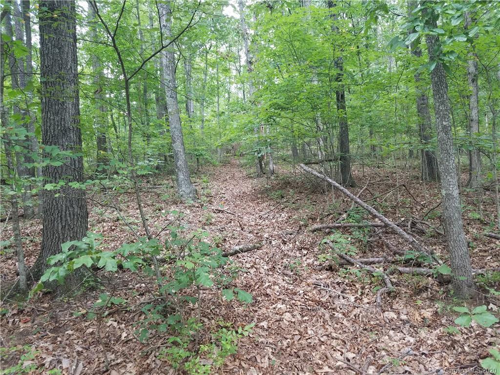 99999 Thompson Cove Road Clyde, NC 28721 - Photo 10 of 19