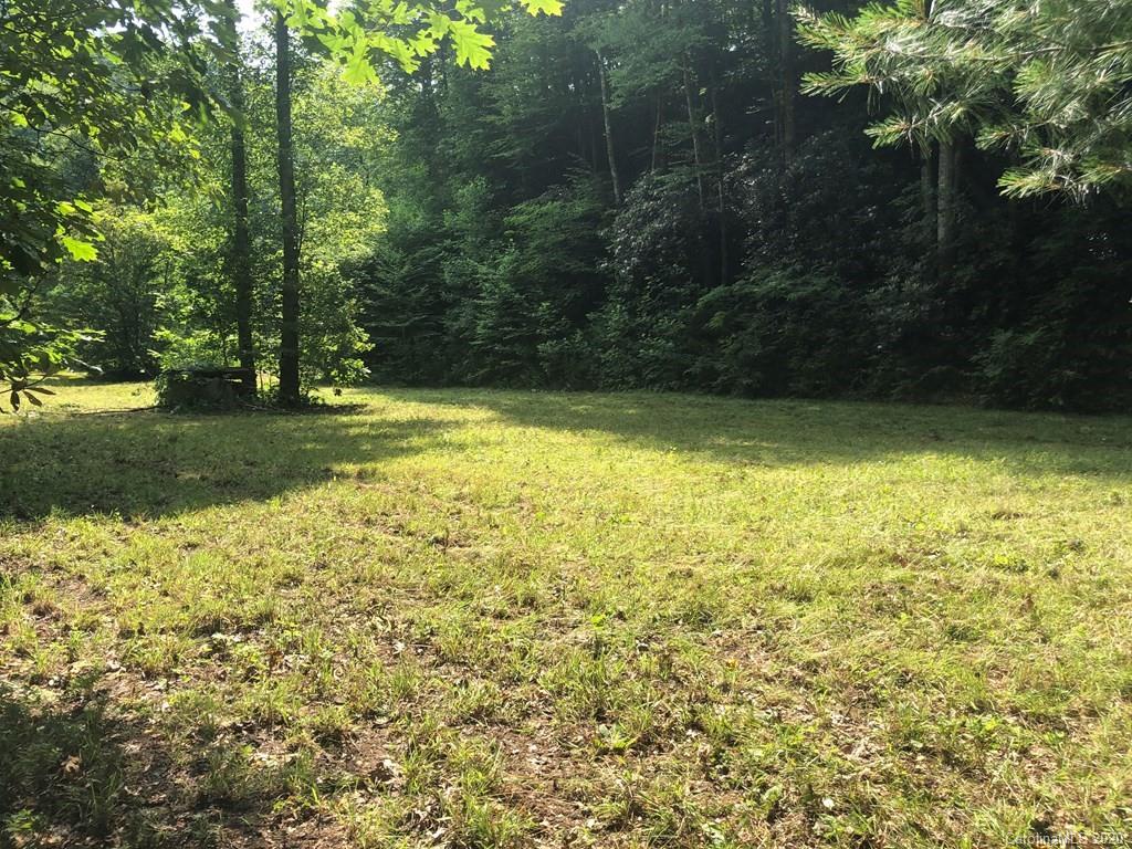 6158 Alarka Road Bryson City, NC 28713 - Photo 4 of 12 a view of a yard with a tree