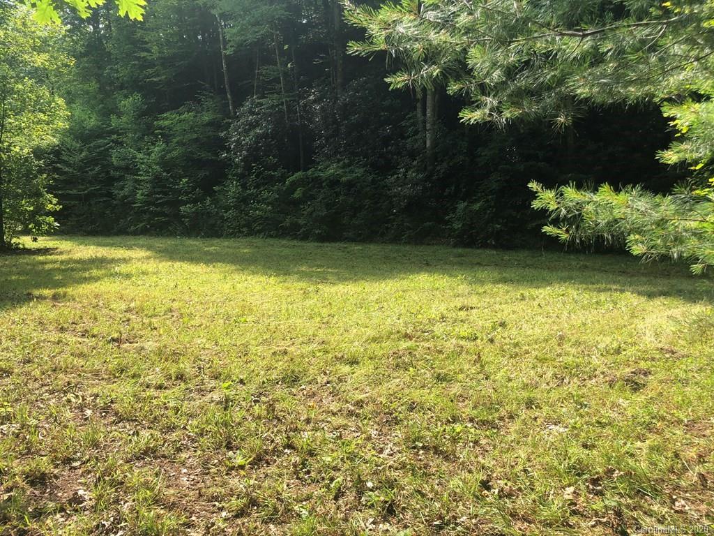 6158 Alarka Road Bryson City, NC 28713 - Photo 7 of 12 a view of a yard