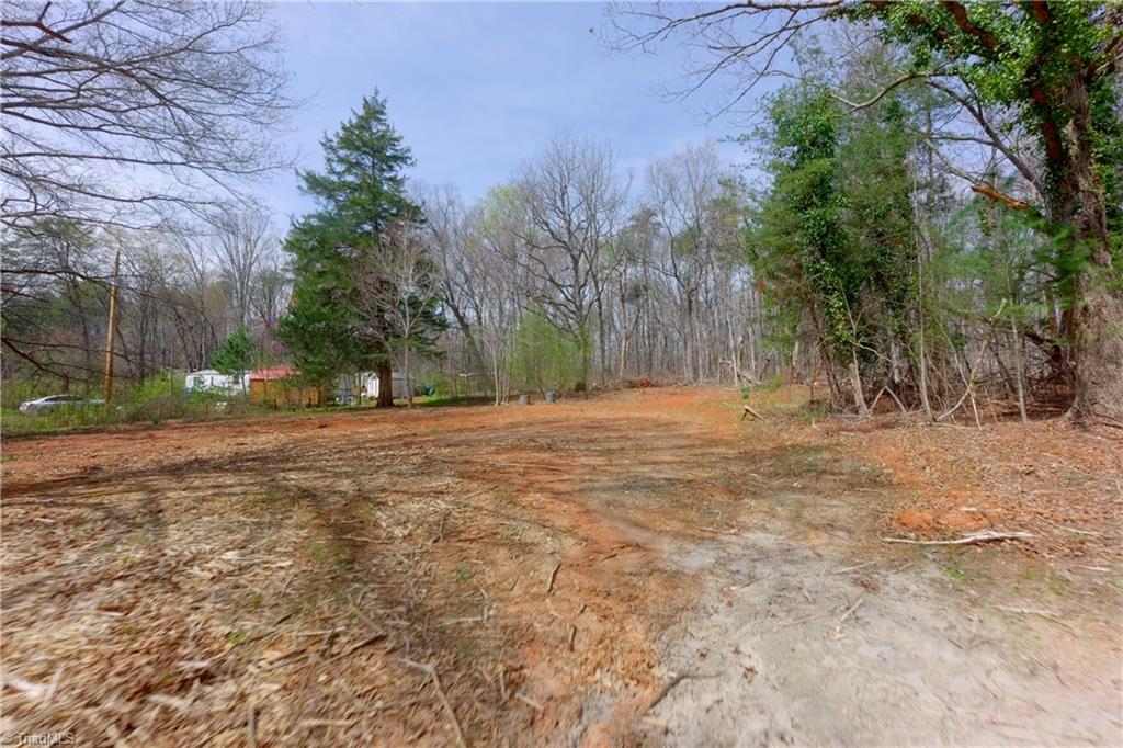 0 Johnson Farm Road, Unit 2 Pilot Mountain, NC 27041 - Photo 6 of 29 Gallery Image 6