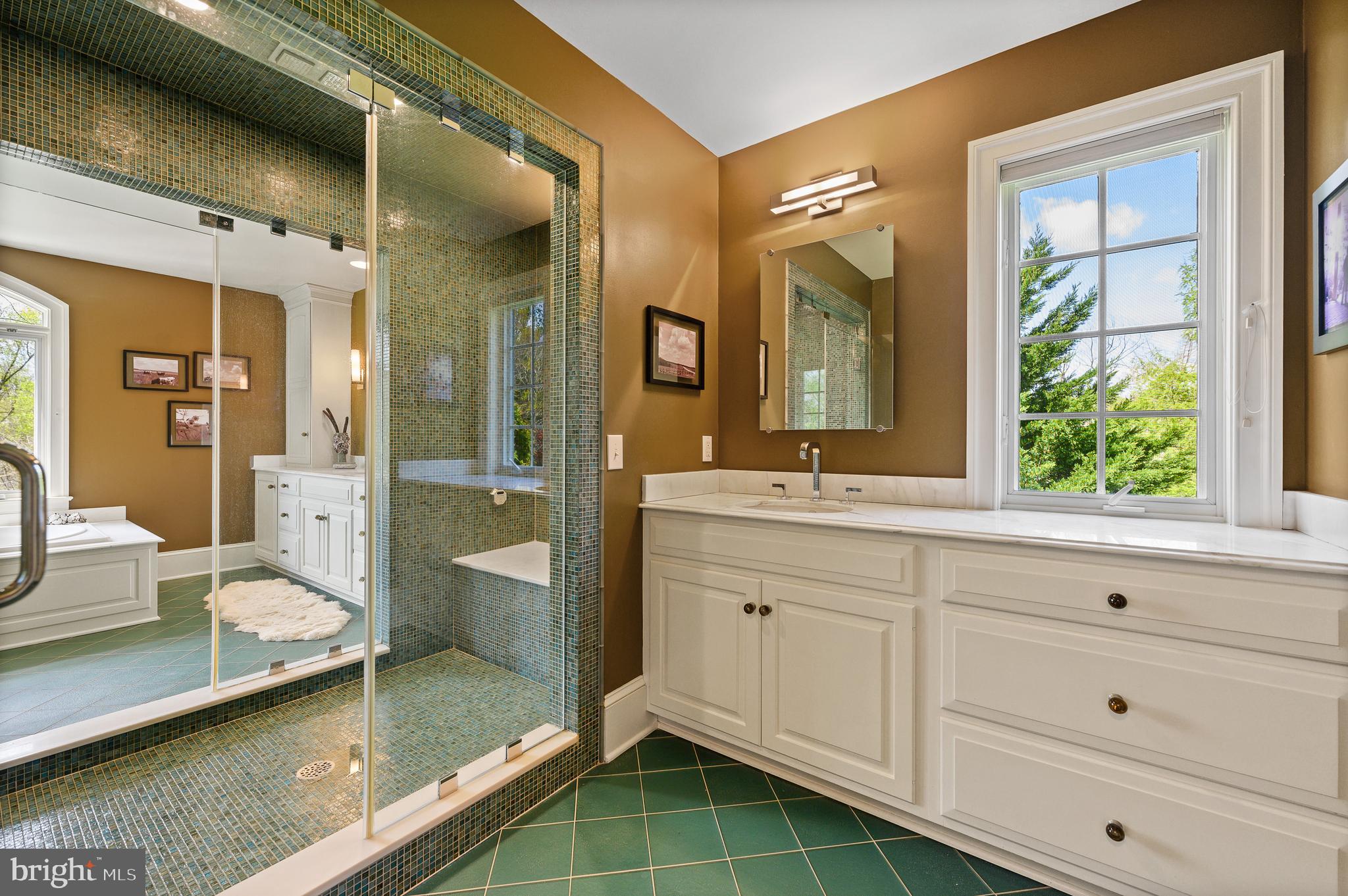 113 Brooke Farm Road Wayne, PA 19087 - Photo 30 of 58 Steam Shower between 2 Baths has heated bench