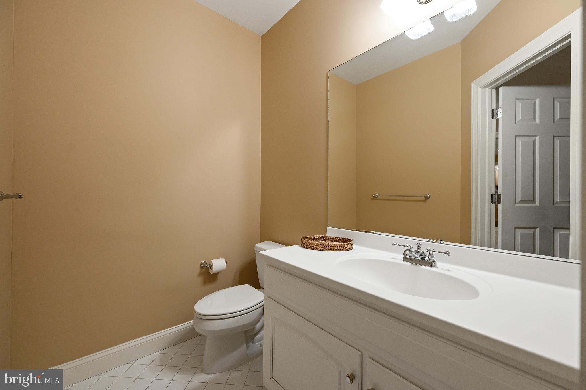 113 Brooke Farm Road Wayne, PA 19087 - Photo 48 of 58 Lower Level Powder Room
