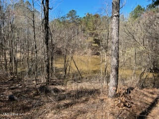 0 Liberty Church Road Ashland, MS 38603 - Photo 6 of 10 unnamed (5)