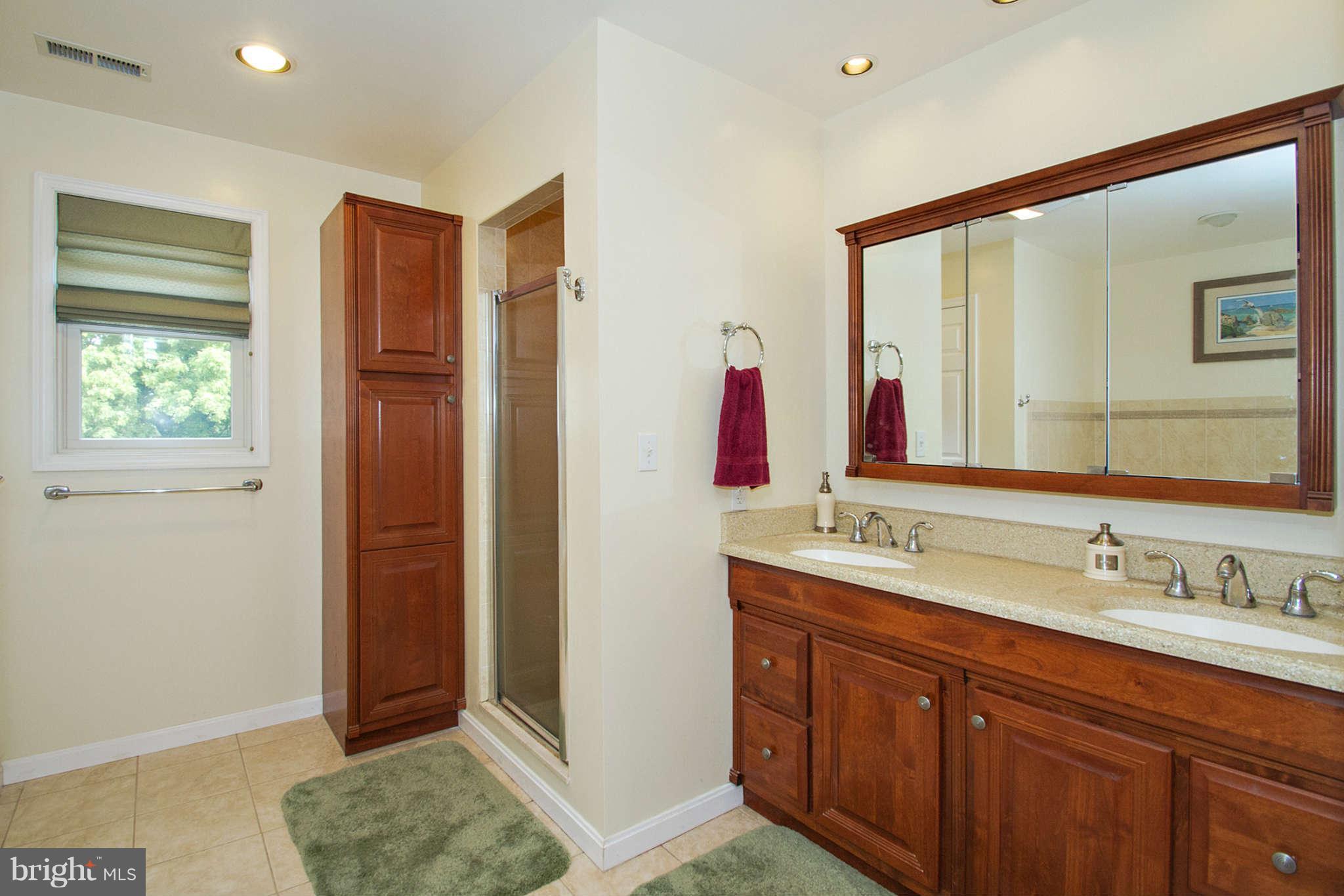 4525 Linthicum Road Dayton, MD 21036 - Photo 21 of 26 Bath (Master)