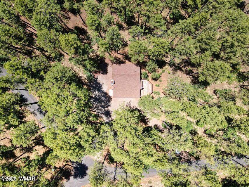 3073 Strawberry Hill Road Pinetop, AZ 85935 - Photo 6 of 23
