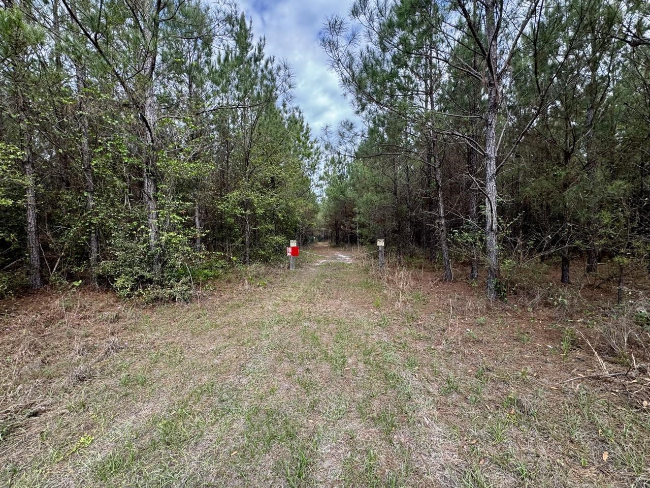 Vacant Southwest Vacant Sw Captain Brown Road Madison, FL 32340 - Photo 2 of 37
