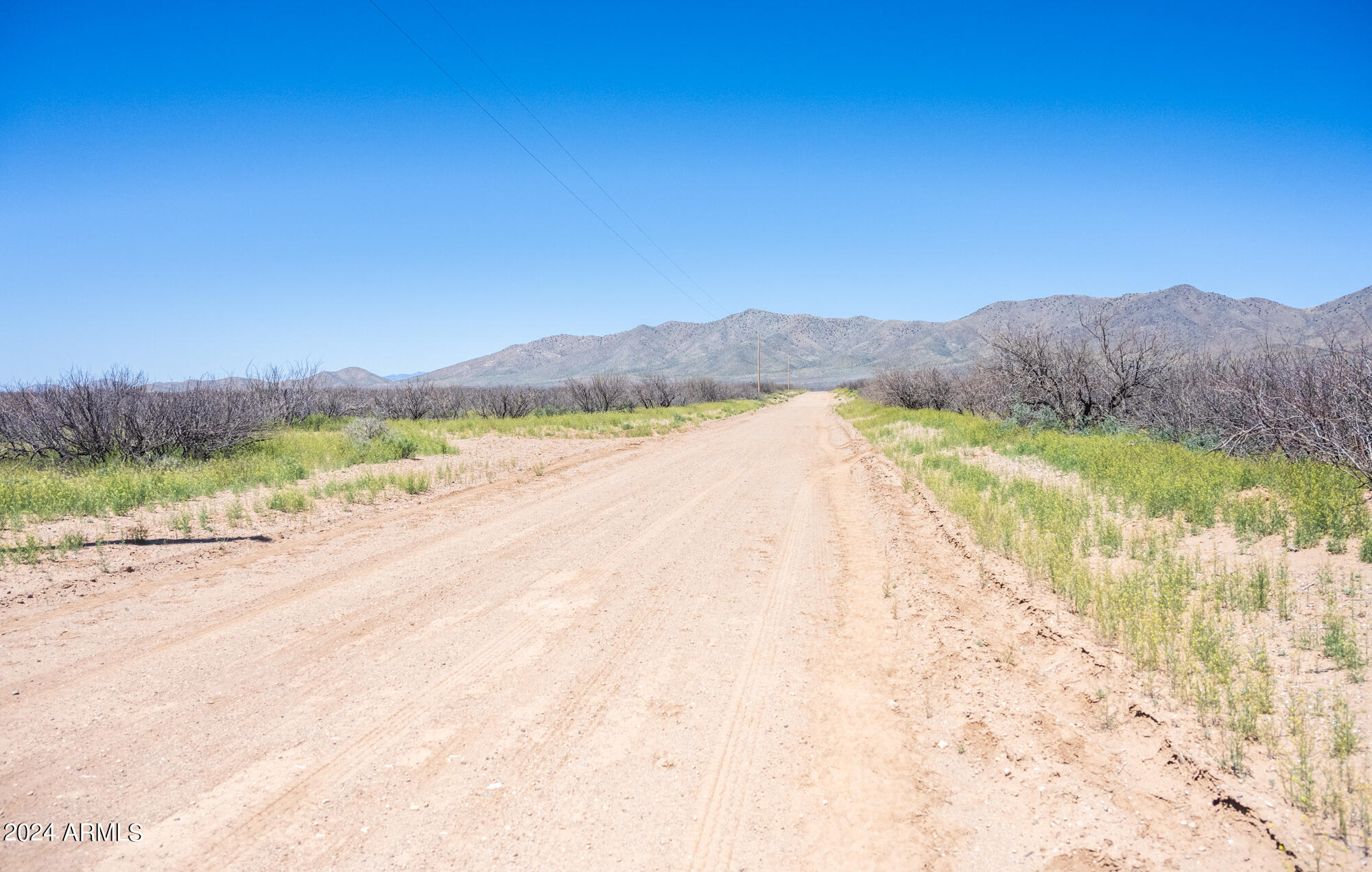 40-acres South Martin Ranch Road, Unit 1 Willcox, AZ 85643 - Photo 8 of 29 203-17-003E-6