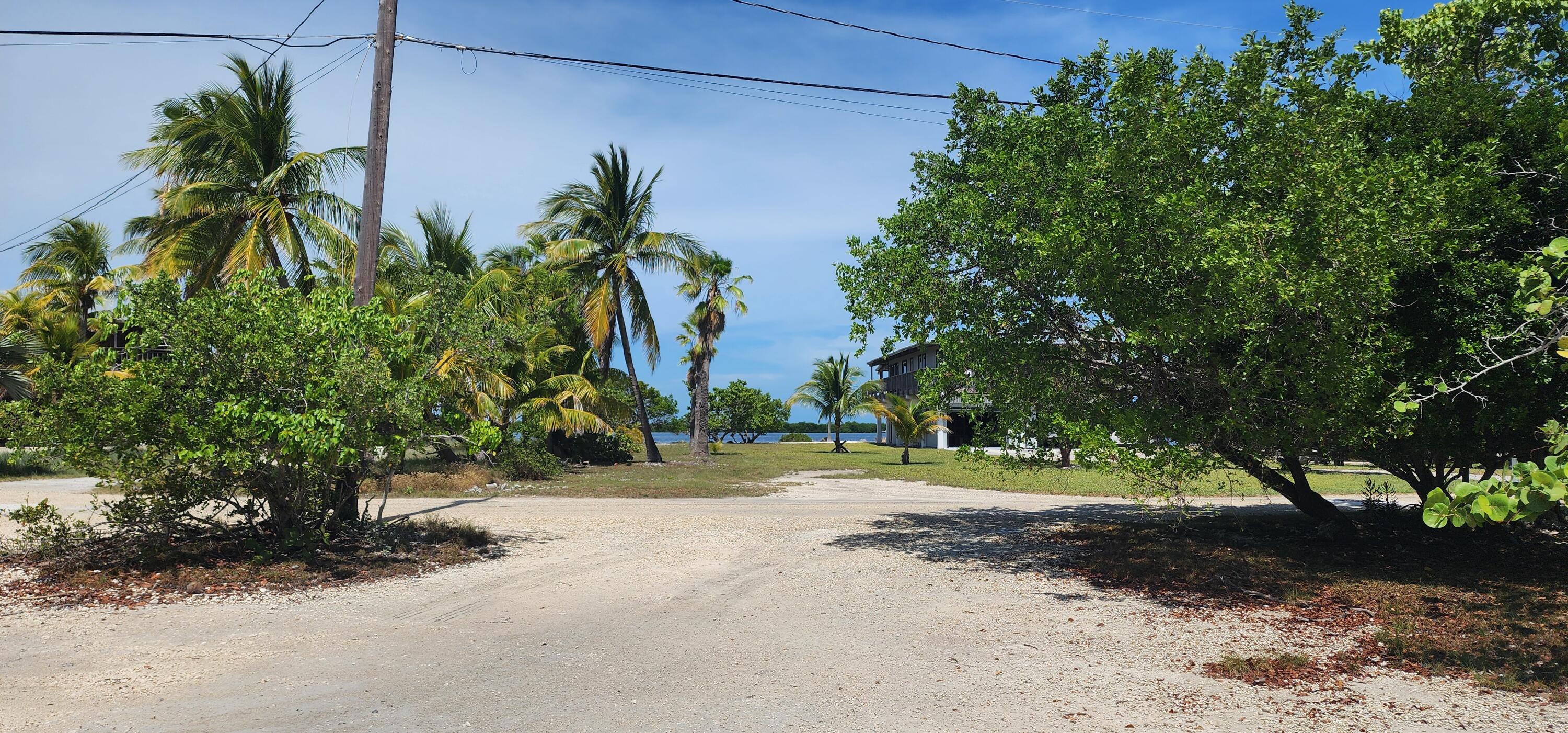 6 Coral Way Big Pine Key, FL 33043 - Photo 13 of 20 a view of a yard with a tree