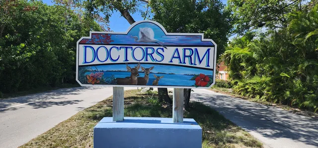 a view of a street sign under a tree