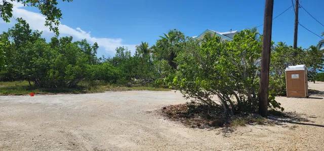 a view of a yard with plants and trees