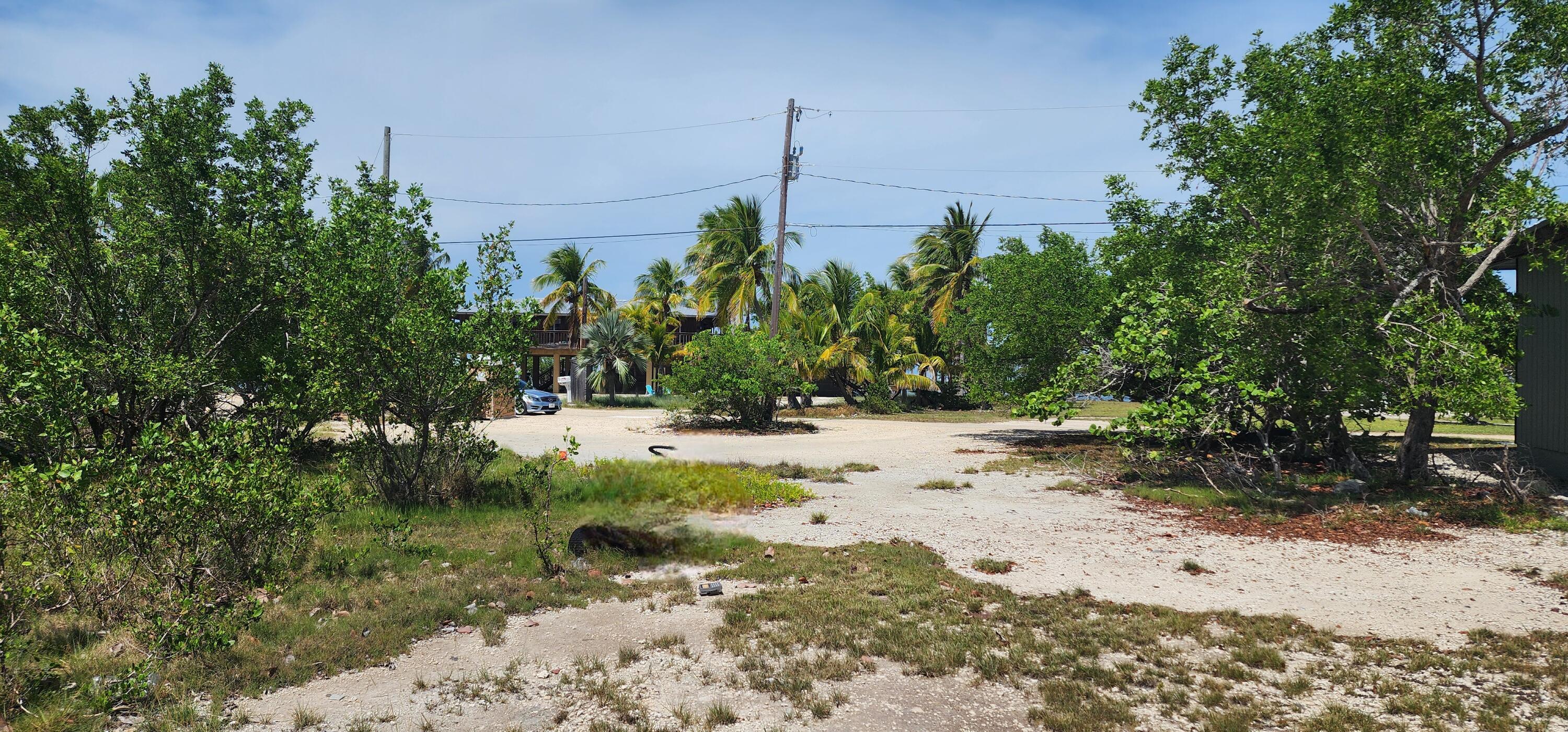 6 Coral Way Big Pine Key, FL 33043 - Photo 8 of 20 a view of a yard with plants