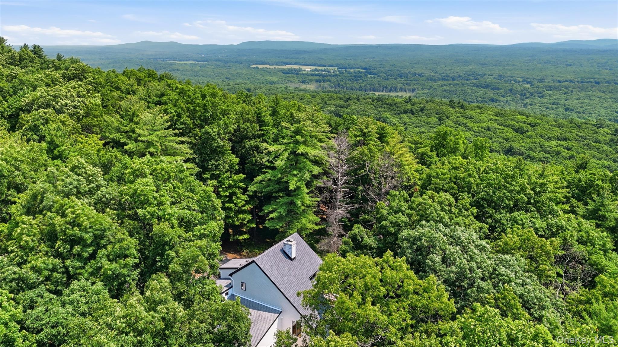 11 Spies Road New Paltz, NY 12561 - Photo 4 of 29