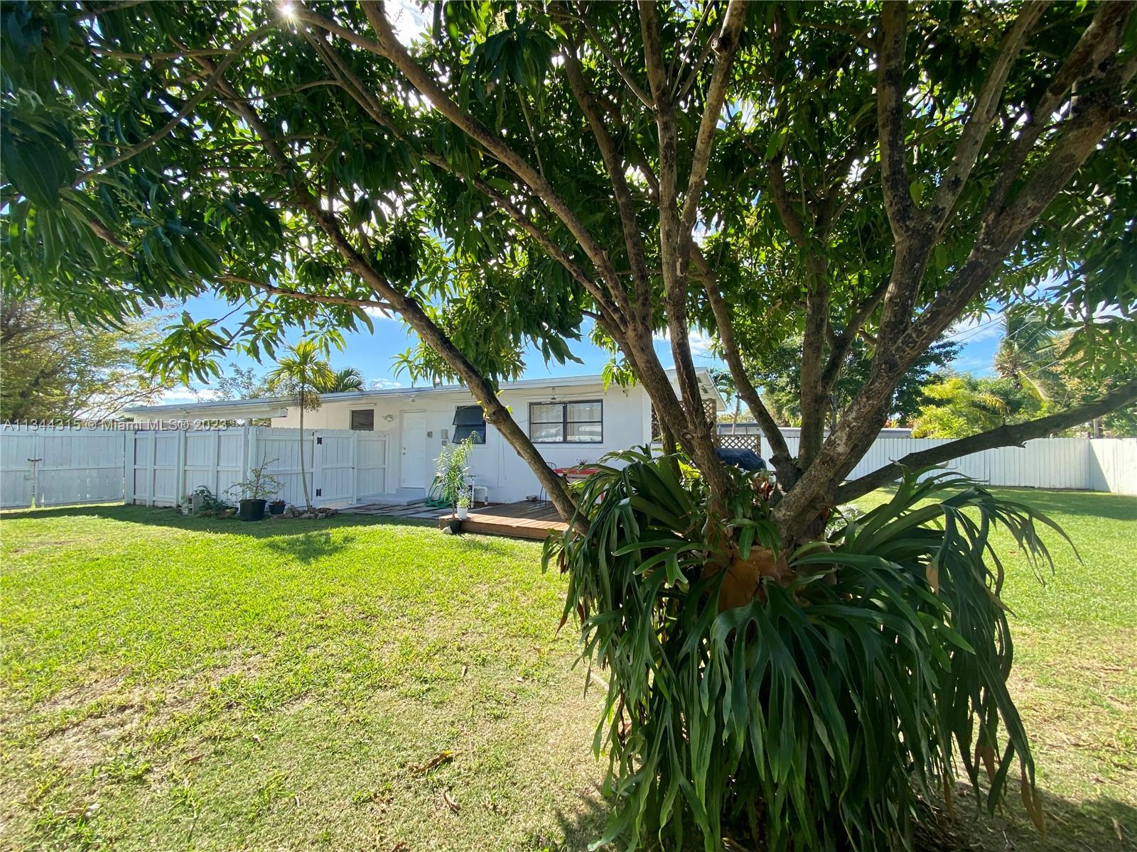 Gorgeous fenced yard with the most delicious mango tree you’ve ever tried.