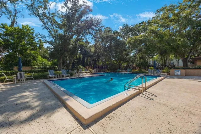 a view of a yard with plants and trees