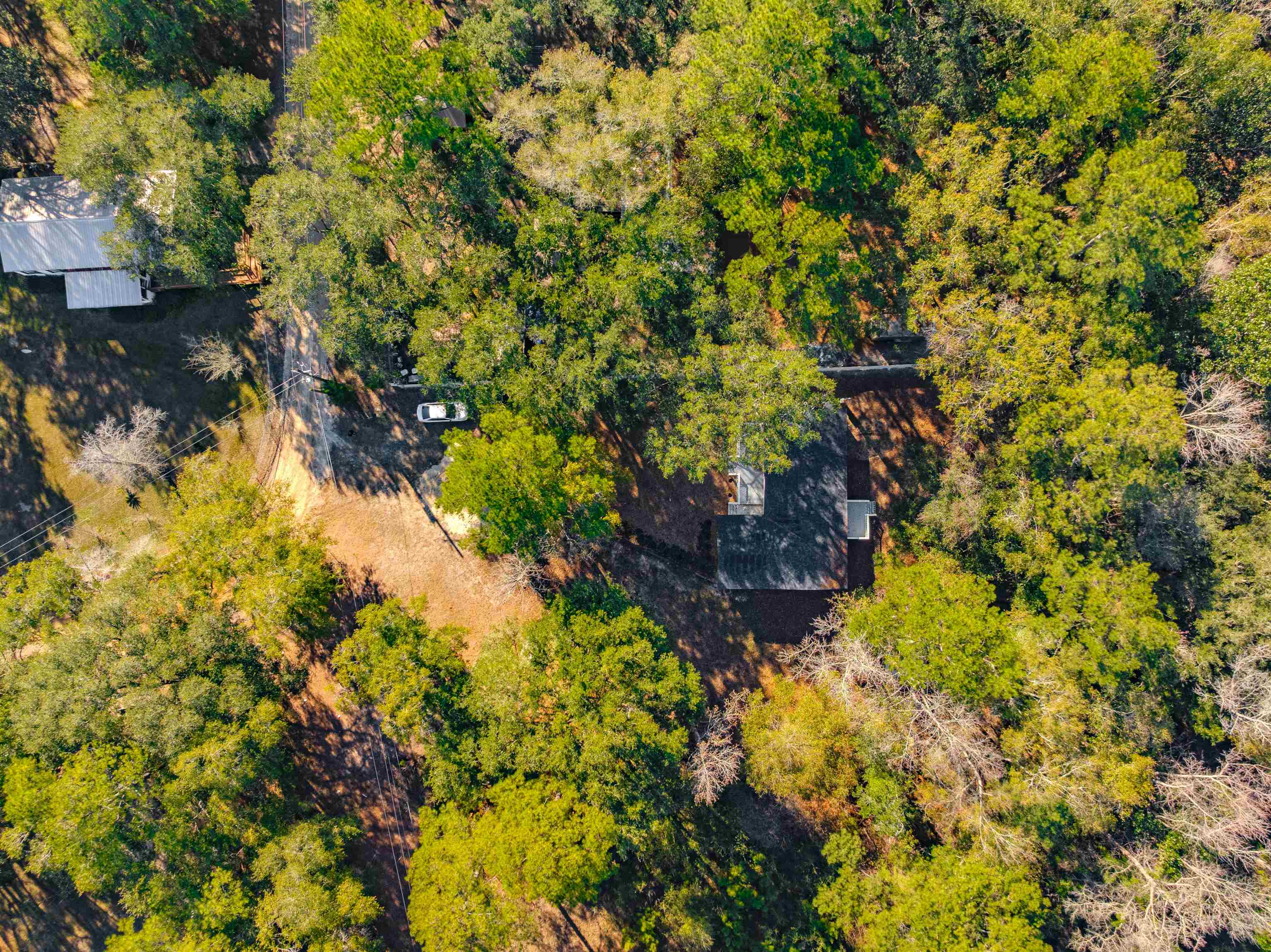 4766 Preston Johnson Road Tallahassee, FL 32310 - Photo 29 of 32