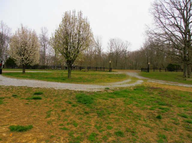 1115 Halliburton Road Vanleer, TN 37181 - Photo 6 of 20 Gallery Image 6