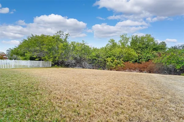 a front view of a garden with plants