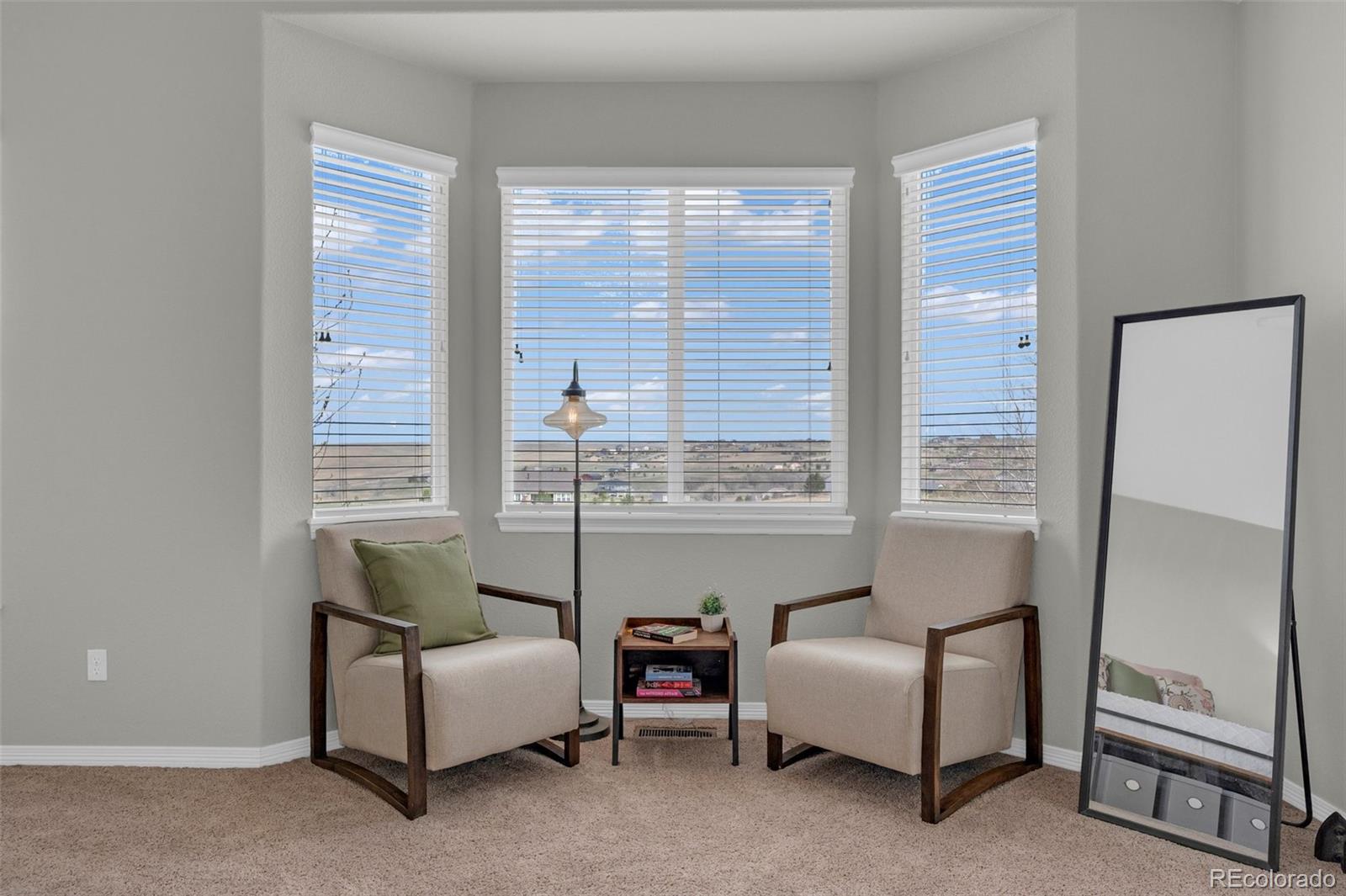 2382 Antelope Ridge Trail Parker, CO 80138 - Photo 13 of 34 a living room with furniture and a window