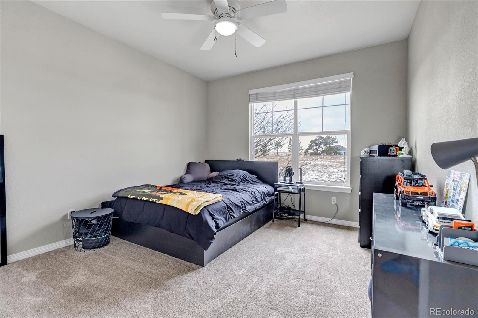 2382 Antelope Ridge Trail Parker, CO 80138 - Photo 19 of 34 a bedroom with furniture and window