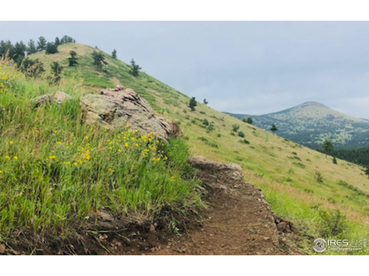 4659 Ridge Road Boulder, CO 80302 - Photo 5 of 7 a view of a field