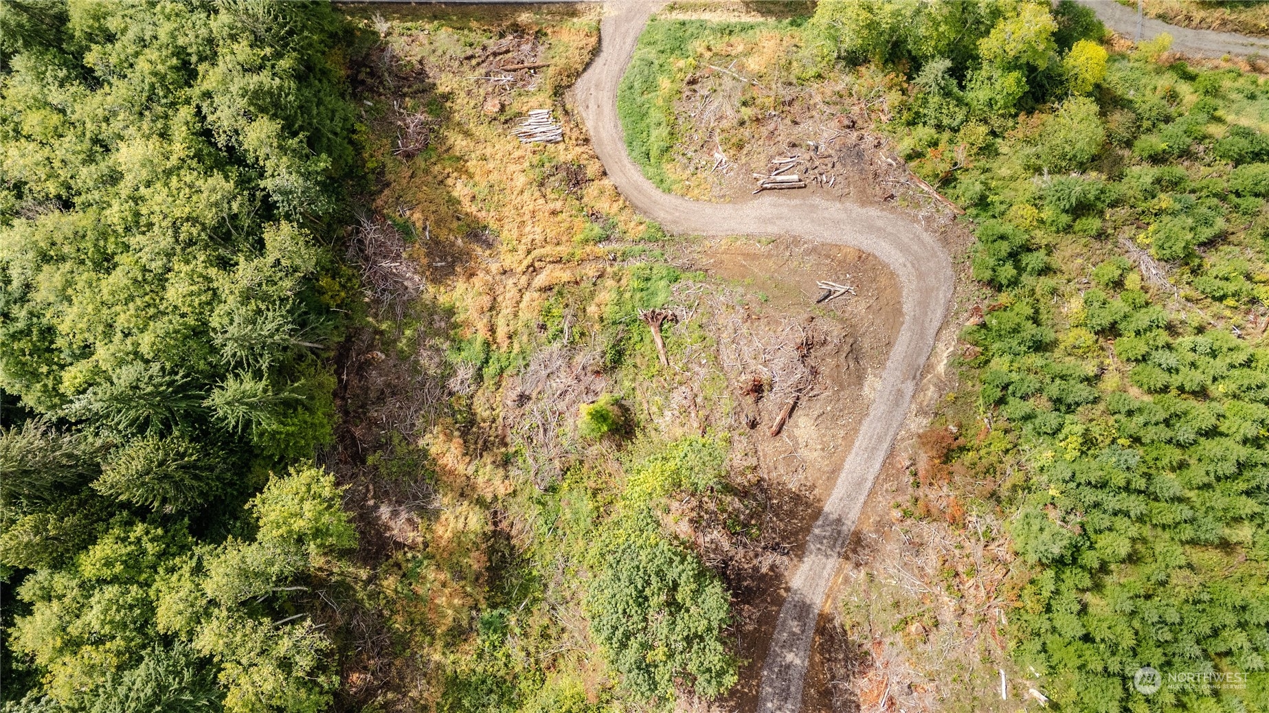 323 Short Road Morton, WA 98356 - Photo 10 of 16 Gallery Image 10