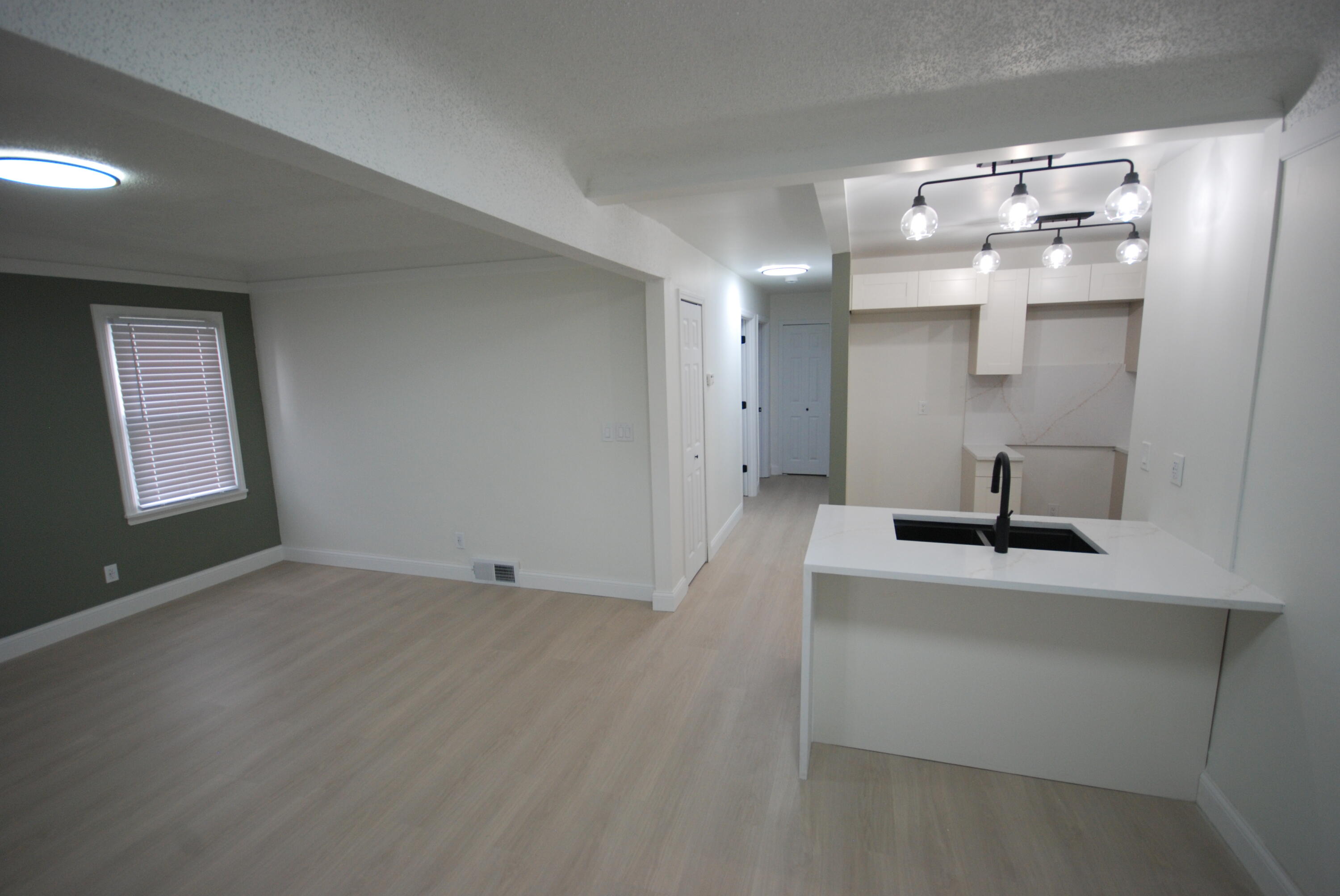 20532 Lesure Street Detroit, MI 48235 - Photo 4 of 20 DSC_0039