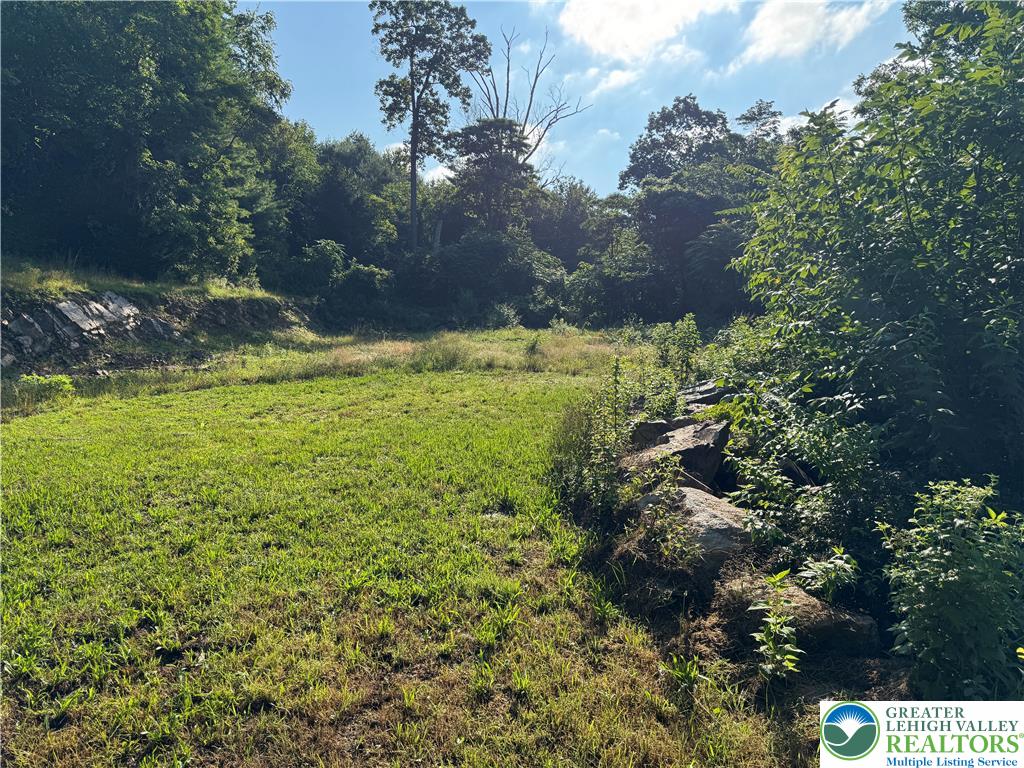 1212 3rd Street Palmerton, PA 18071 - Photo 2 of 5 a view of a yard with plants and large trees