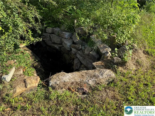 a view of a covered with trees