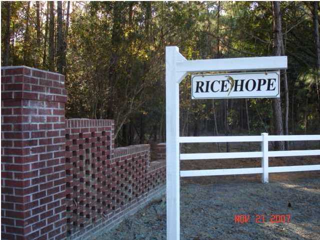 2 Golden Rice Lane Ravenel, SC 29470 - Photo 1 of 3 Primary Photo