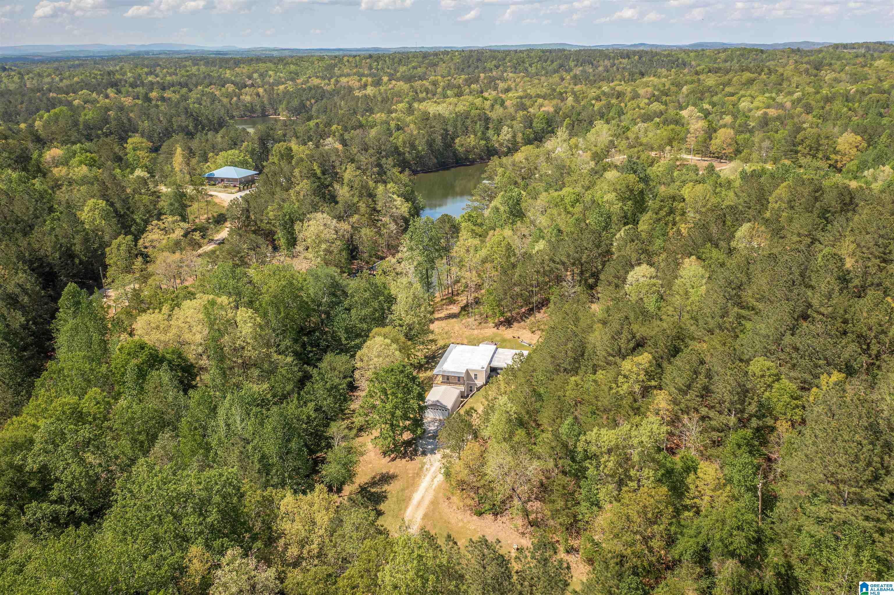 1268 Lane Branch Road Wedowee, AL 36278 - Photo 50 of 56