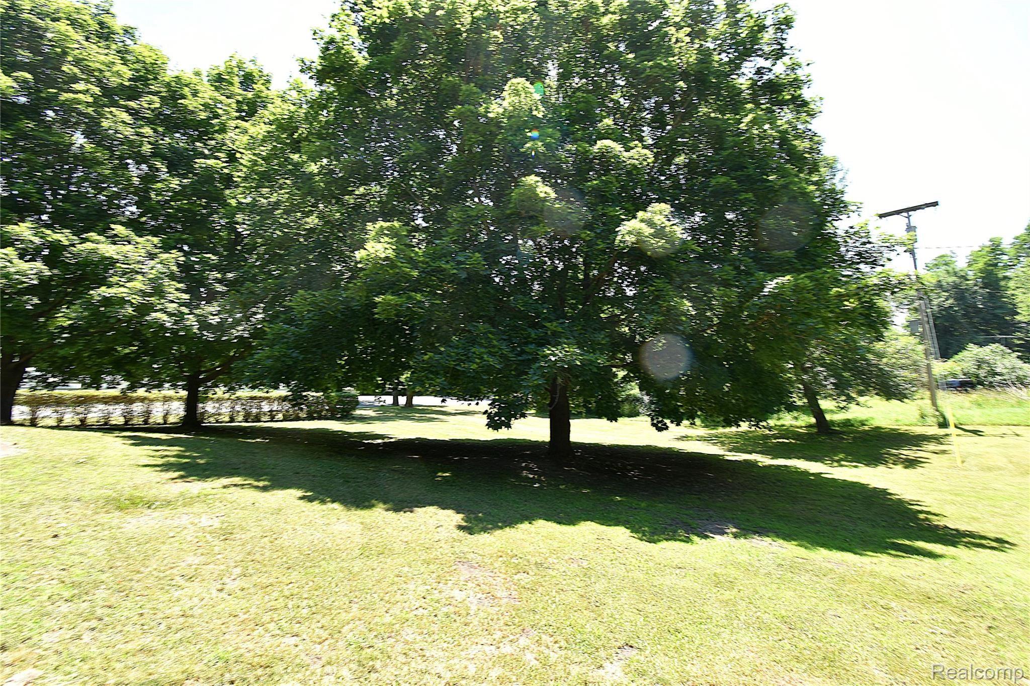 8081 Dexter-Pinckney Road Dexter, MI 48130 - Photo 21 of 28 20 YARD.JPG