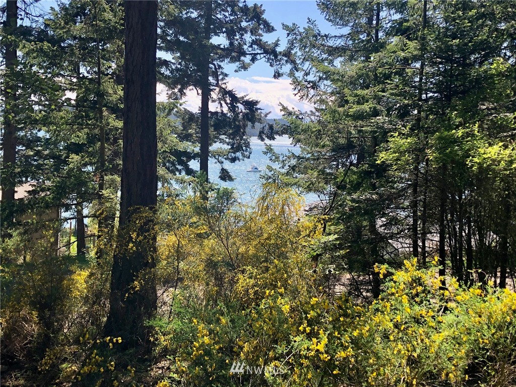 44 Decatur Shores Anacortes, WA 98221 - Photo 3 of 14