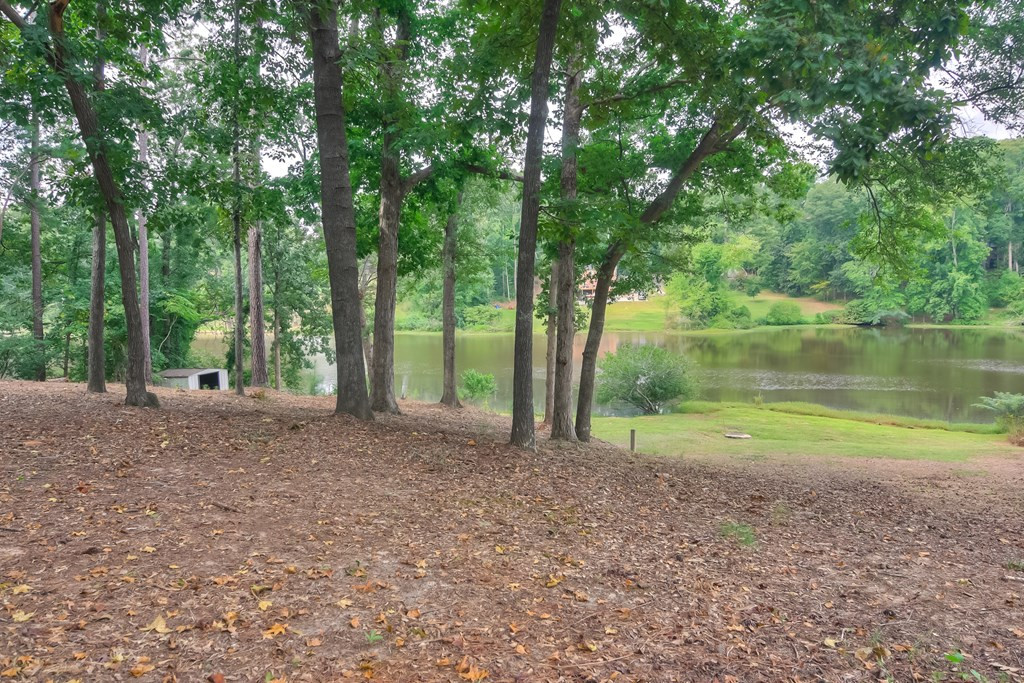 309 Rockdale Road Martinez, GA 30907 - Photo 28 of 41 Backyard