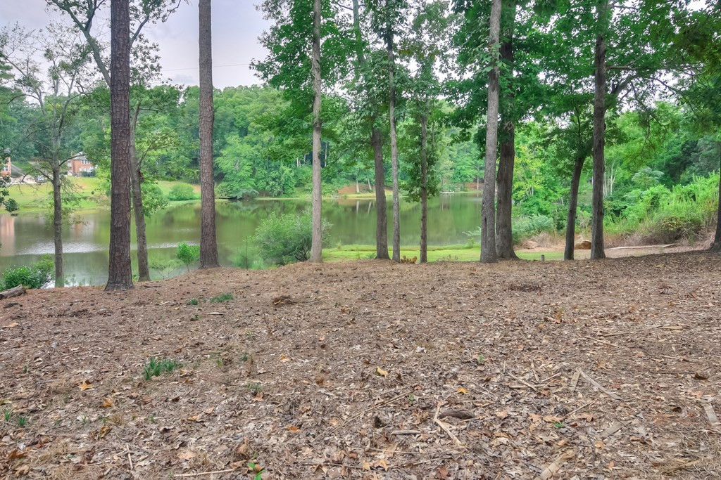 309 Rockdale Road Martinez, GA 30907 - Photo 31 of 41 Backyard