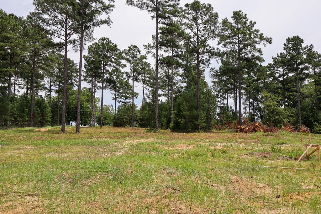 185 Ben Ivey Road Webb, AL 36376 - Photo 8 of 9