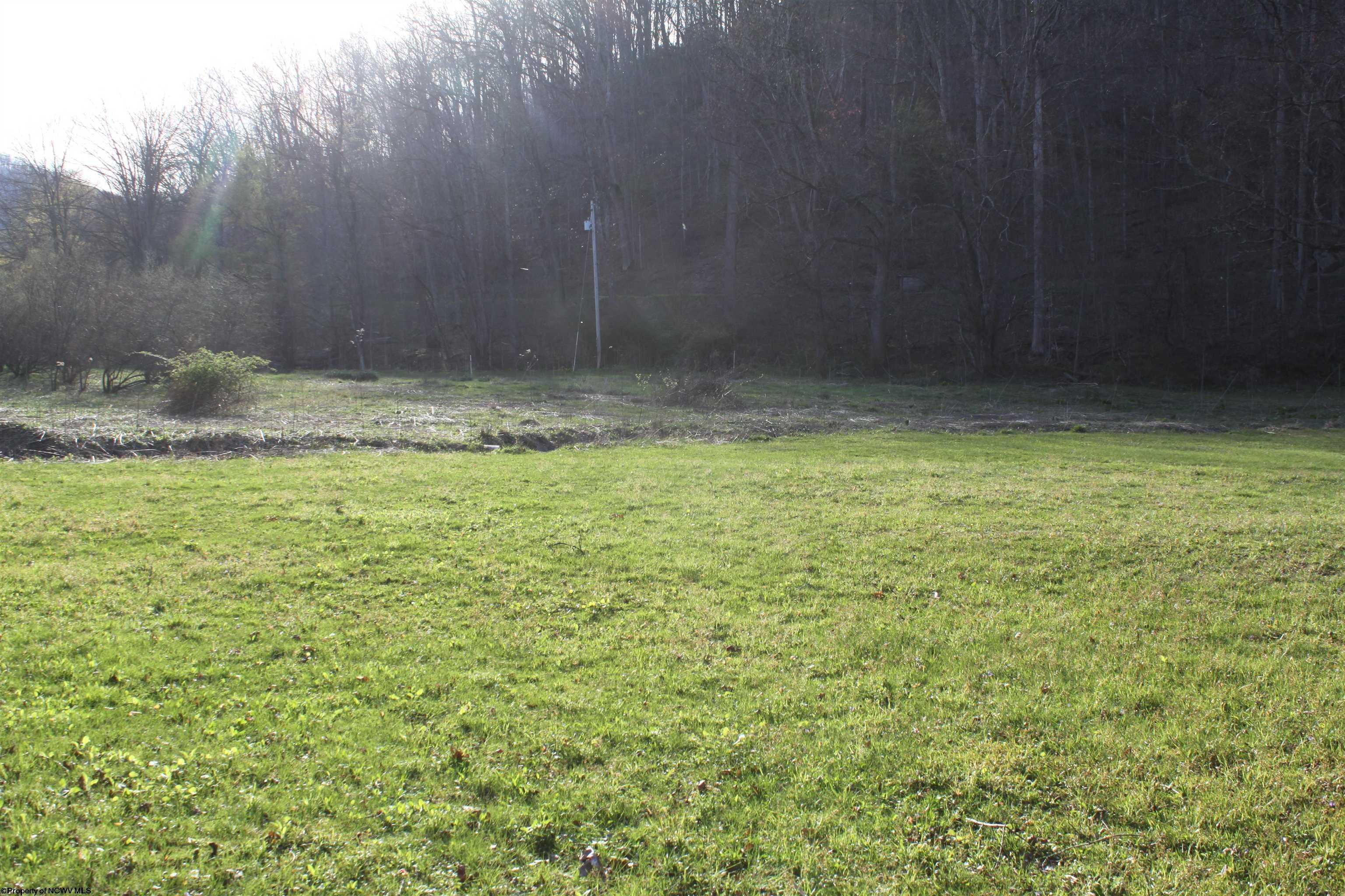 1625 Gauley River Road Webster Springs, WV 26288 - Photo 2 of 23 Gallery Image 2