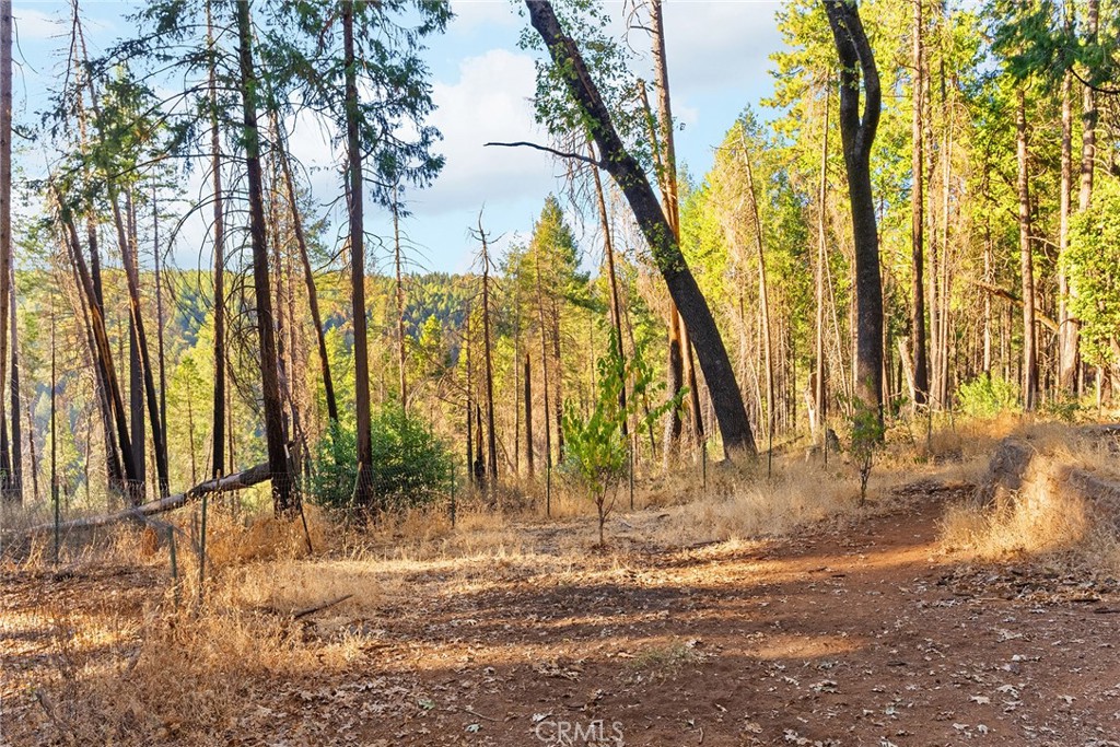 14177 Racine Circle Magalia, CA 95954 - Photo 47 of 52 a view of outdoor space with garden