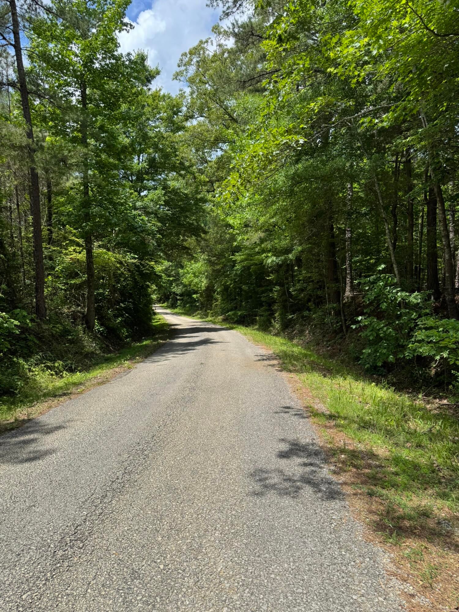 Geeville Road Booneville, MS 38829 - Photo 10 of 10 Gallery Image 10
