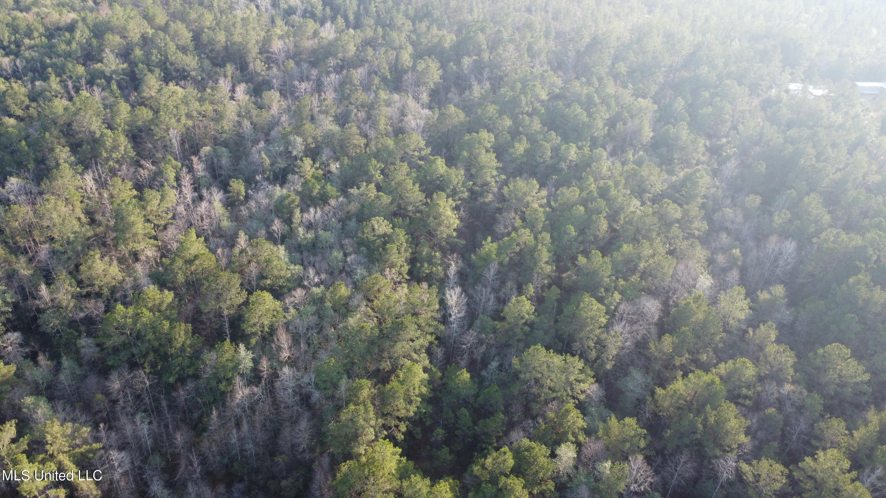 South County Line Road Columbia, MS 39429 - Photo 7 of 44 DJI_0689