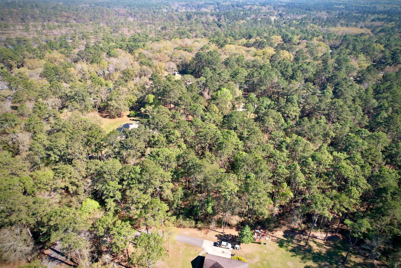 0 Amber Valley Road Tallahassee, FL 32312 - Photo 11 of 38 Gallery Image 11