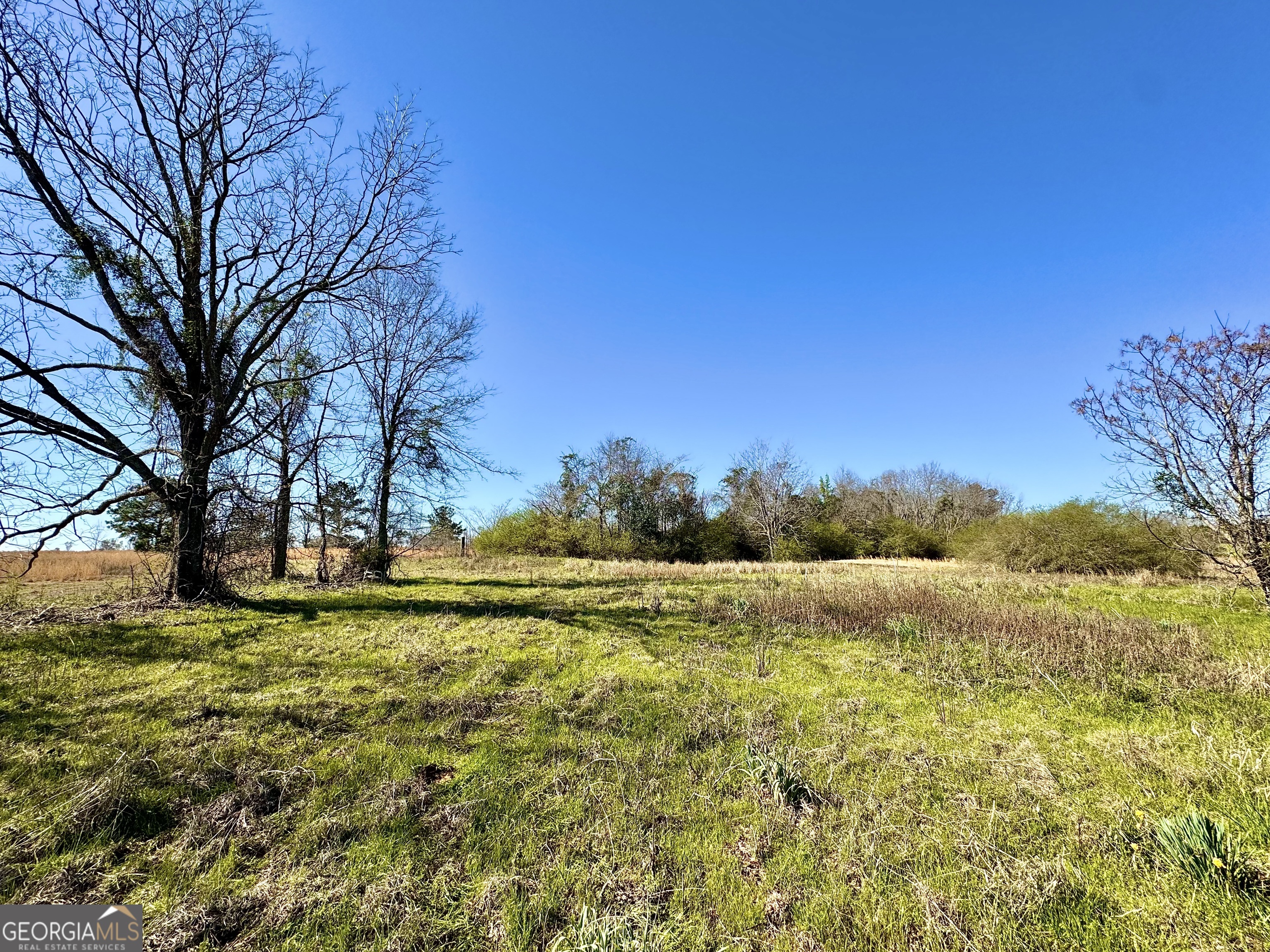 0 Stripling Road Dexter, GA 31019 - Photo 1 of 1 Gallery Image 1